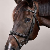 Hodelag Kombinert Nesereim Plaited New English Collection Svart Hodelag Kombinert Nesereim Plaited New English Collection Svart