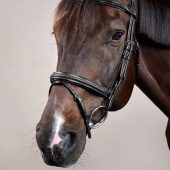 Hodelag Kombinert Nesereim Plaited New English Collection Svart Hodelag Kombinert Nesereim Plaited New English Collection Svart