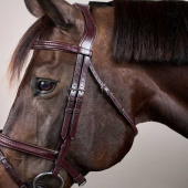 Hodelag Kombinert Nesereim Plaited New English Collection Brun Hodelag Kombinert Nesereim Plaited New English Collection Brun