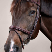 Hodelag Kombinert Nesereim Plaited New English Collection Brun Hodelag Kombinert Nesereim Plaited New English Collection Brun