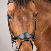 Hodelag D Motion New English Collection Svart Hodelag D Motion New English Collection Svart