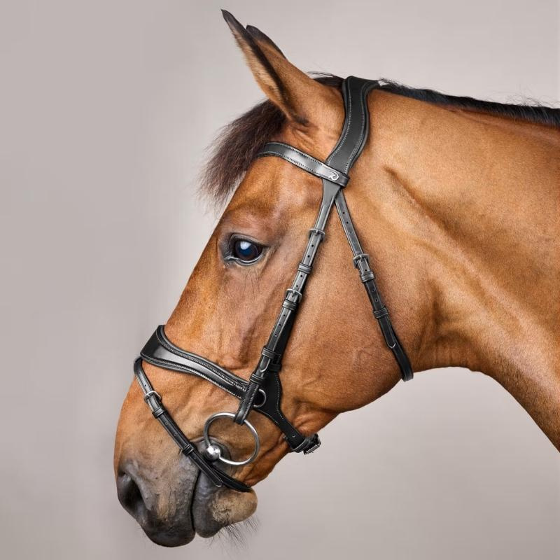Hodelag D Motion New English Collection Svart