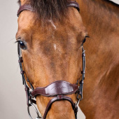 Hodelag D Motion New English Collection Brun Hodelag D Motion New English Collection Brun