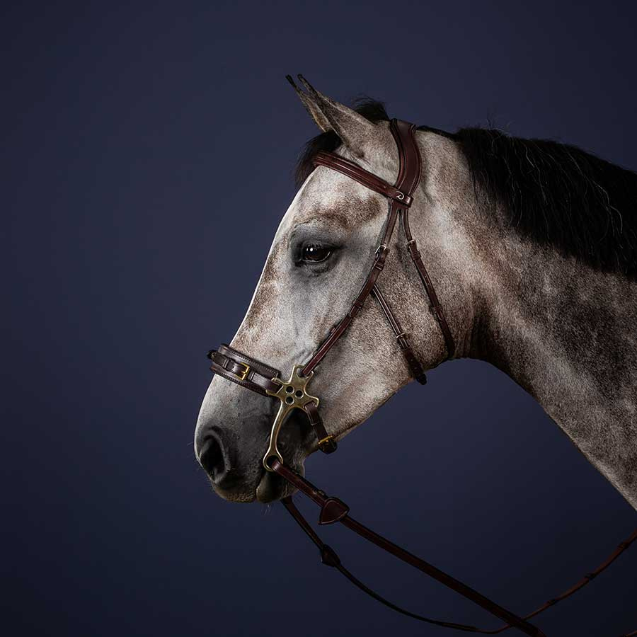 Hodelag Hackamore NE Brun