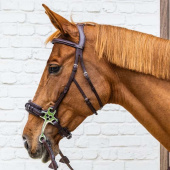 Hodelag Hackamore New English Collection Brun Hodelag Hackamore New English Collection Brun