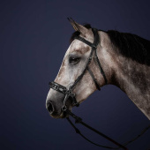 Hodelag Hackamore NE Svart Hodelag Hackamore NE Svart