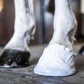 Hov- og Veterinærtape Hvit Hov- og Veterinærtape Hvit