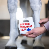 Hov- og Veterinærtape Hvit Hov- og Veterinærtape Hvit