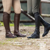 Chaps Classic Brun Chaps Classic Brun