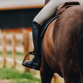 Chaps Classic Comfort Svart Chaps Classic Comfort Svart