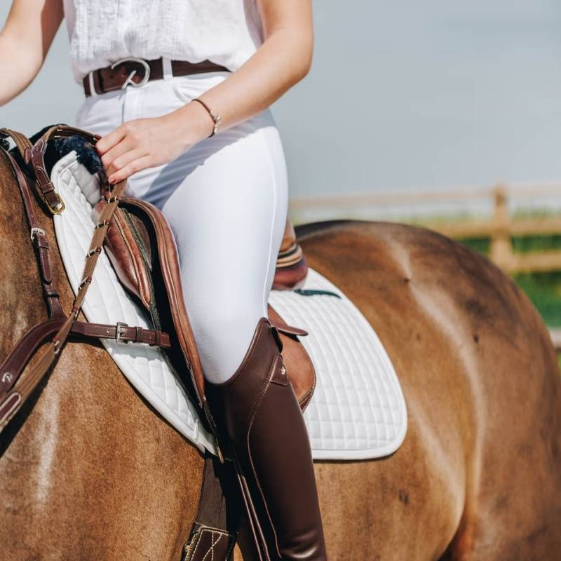 Skinnbelte Classic D Brun
