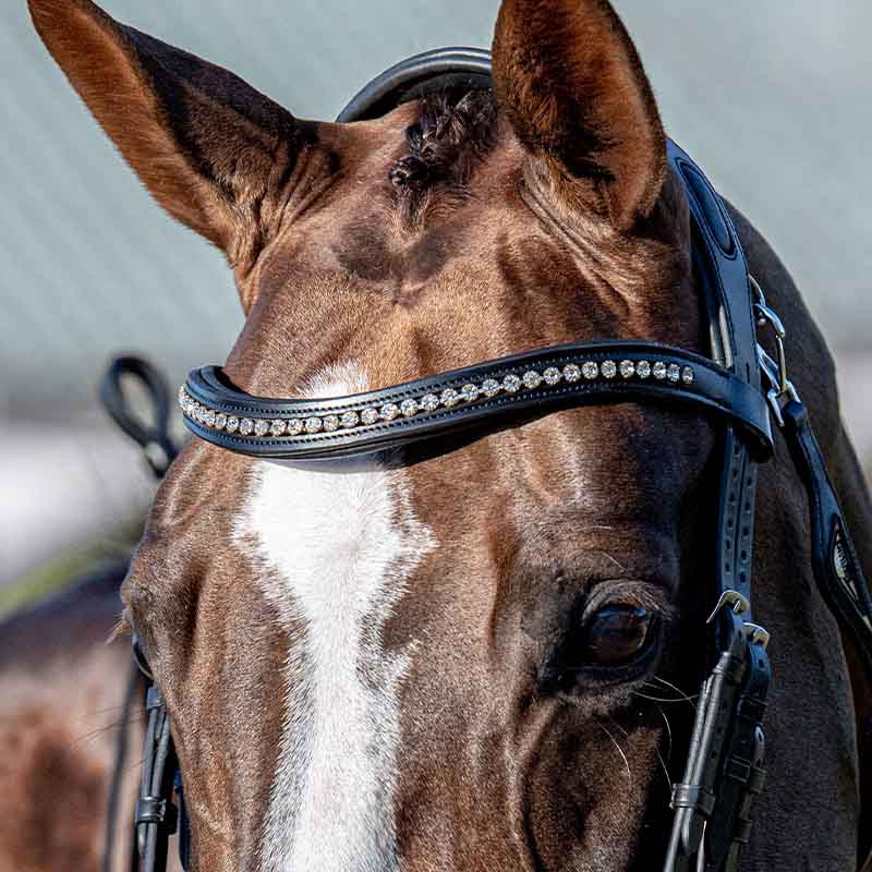 Pannebånd Strass U-formet Svart