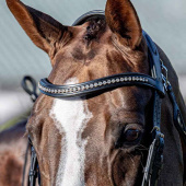 Pannebånd Strass U-formet Svart Pannebånd Strass U-formet Svart