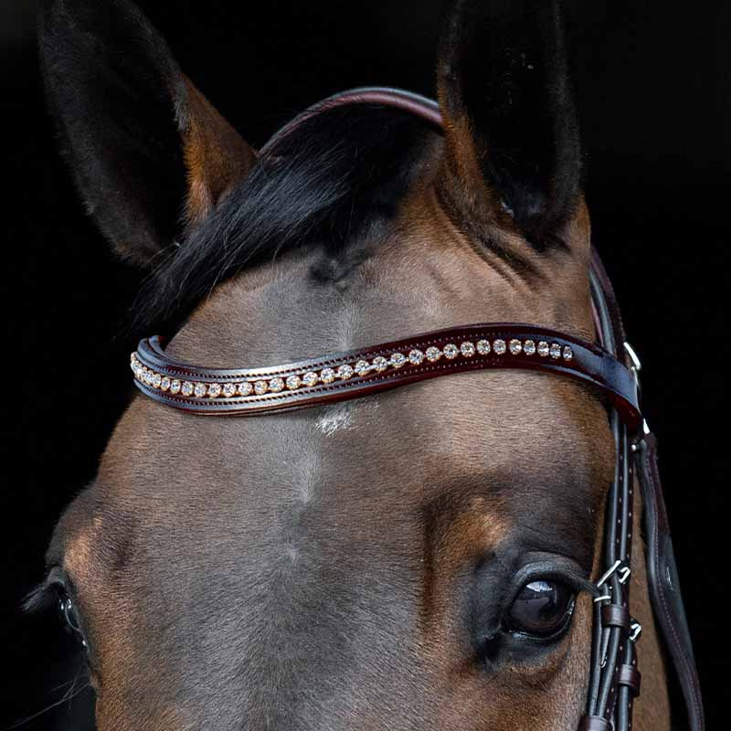 Pannebånd Strass U-formet Brun