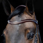 Pannebånd Strass U-formet Brun Pannebånd Strass U-formet Brun