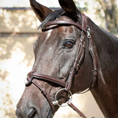 Hodelag Ready To Ride Brun Hodelag Ready To Ride Brun