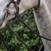 Huntertøyler Lær/Gummi 5/8 Huntertøyler Lær/Gummi 5/8