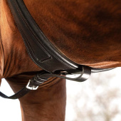 Martingal Rambo Micklem Svart Martingal Rambo Micklem Svart