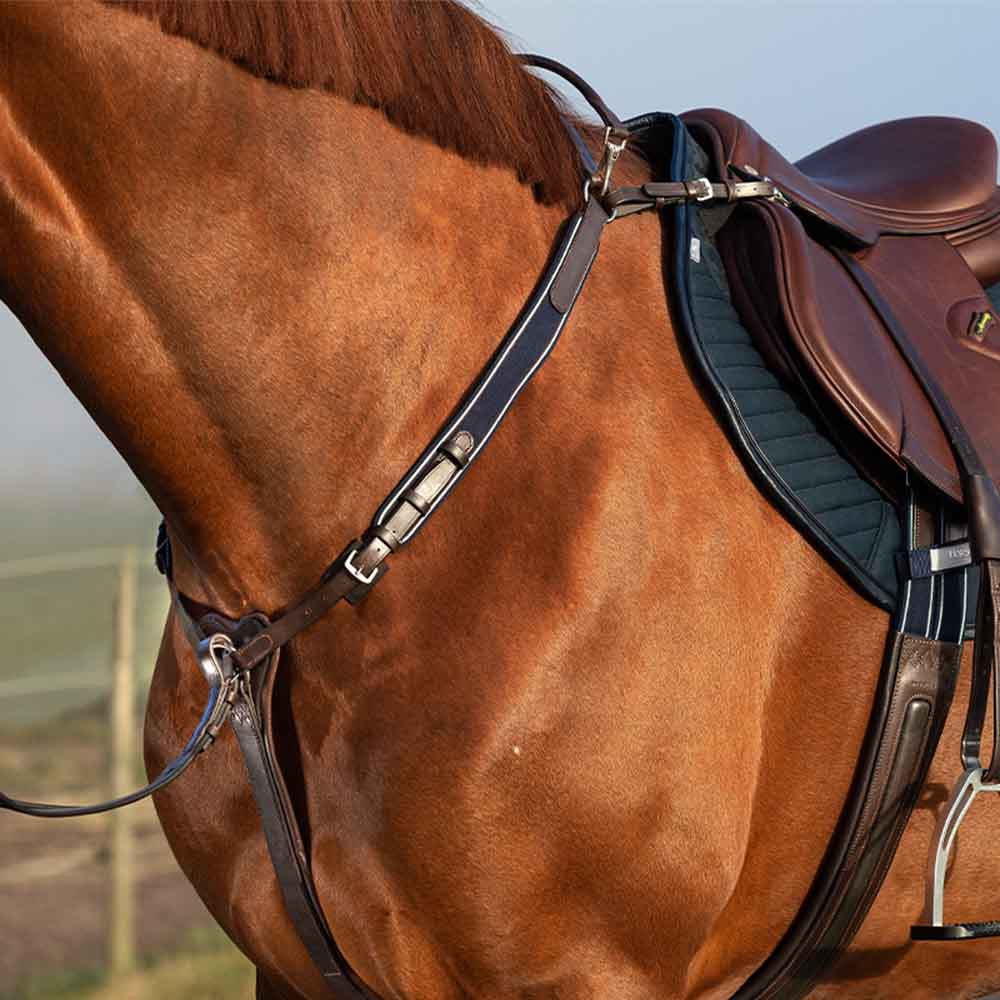 Martingal Rambo Micklem Brun