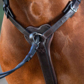 Martingal Rambo Micklem Brun Martingal Rambo Micklem Brun