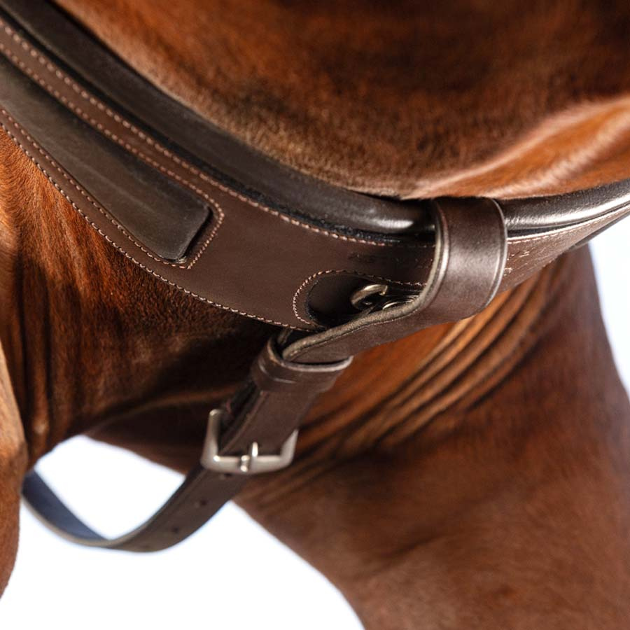 Martingal Rambo Micklem Brun