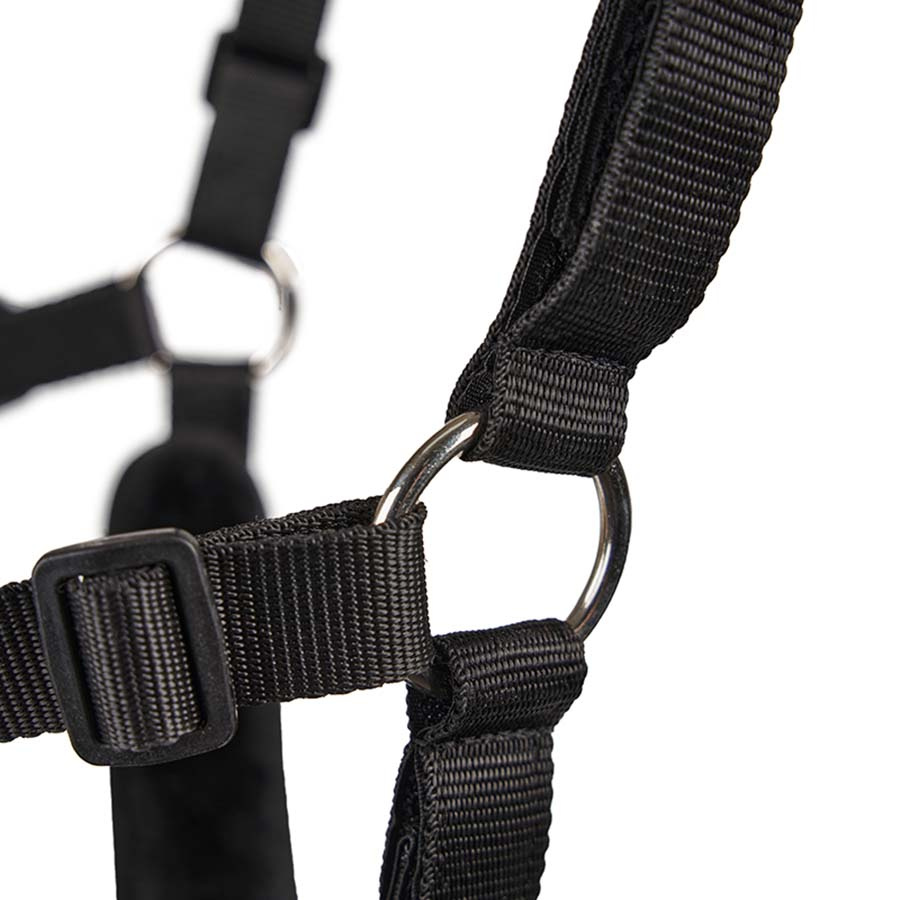 Beitebegrenser Deluxe Airflow Svart