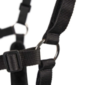 Beitebegrenser Deluxe Airflow Svart Beitebegrenser Deluxe Airflow Svart