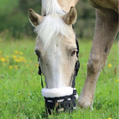 Beitebegrenser Deluxe Beitebegrenser Deluxe