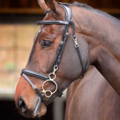 Hodelag Quick Release Rapida Svart Hodelag Quick Release Rapida Svart