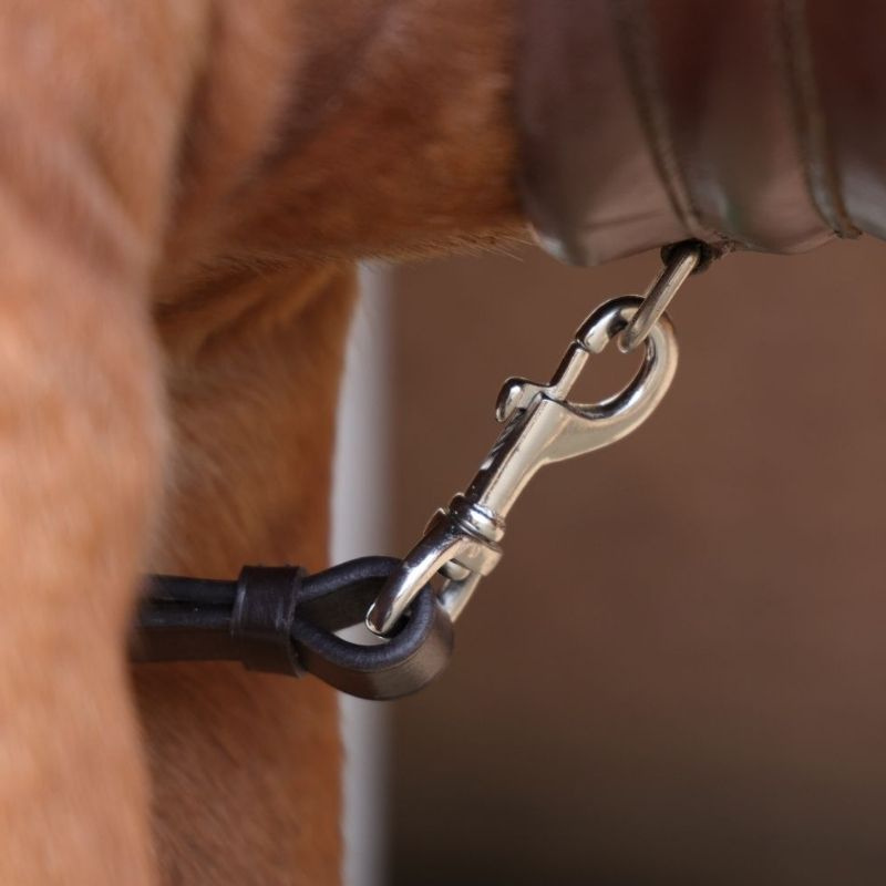 Fortøy med martingal Rapida Brun