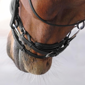 Dressurhodelag LUSSO Elite Svart Dressurhodelag LUSSO Elite Svart