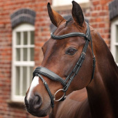 Hodelag Bred Nesereim LUSSO Opus 180M Svart Hodelag Bred Nesereim LUSSO Opus 180M Svart