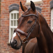 Hodelag Bred Nesereim LUSSO Opus 180M Brun Hodelag Bred Nesereim LUSSO Opus 180M Brun