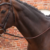 Tøyler LUSSO Opus Soft Grip Brun Tøyler LUSSO Opus Soft Grip Brun