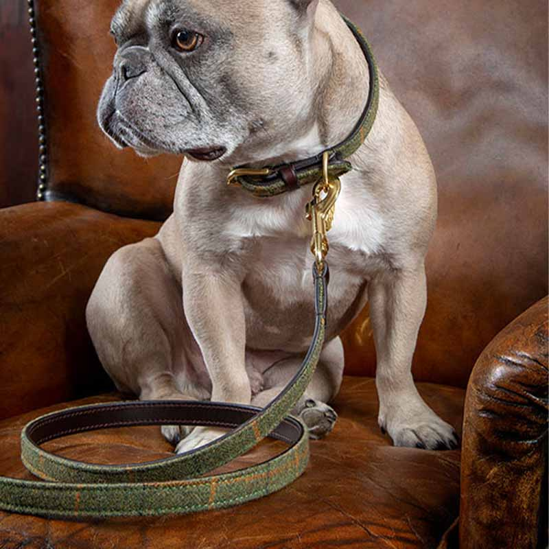 Hundehalsbånd Tweed/Lær Grønn