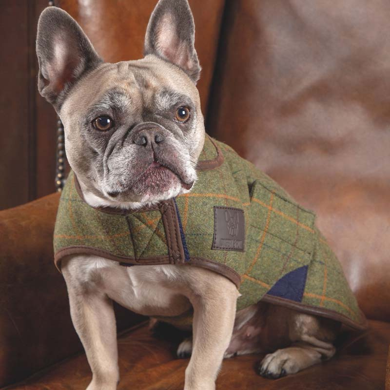 Hundedekken Tweed Grønn