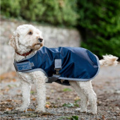 Hundedekken Ionic Therapy 50g Blå/Sølv Hundedekken Ionic Therapy 50g Blå/Sølv
