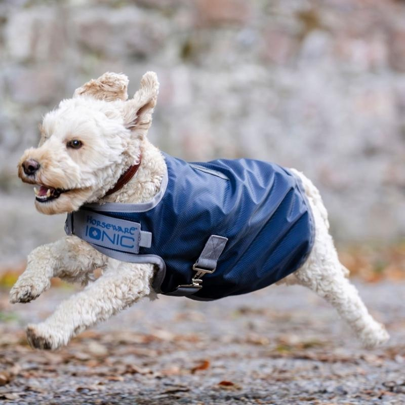 Hundedekken Ionic Therapy 50g Blå/Sølv