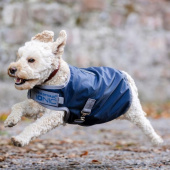 Hundedekken Ionic Therapy 50g Blå/Sølv Hundedekken Ionic Therapy 50g Blå/Sølv