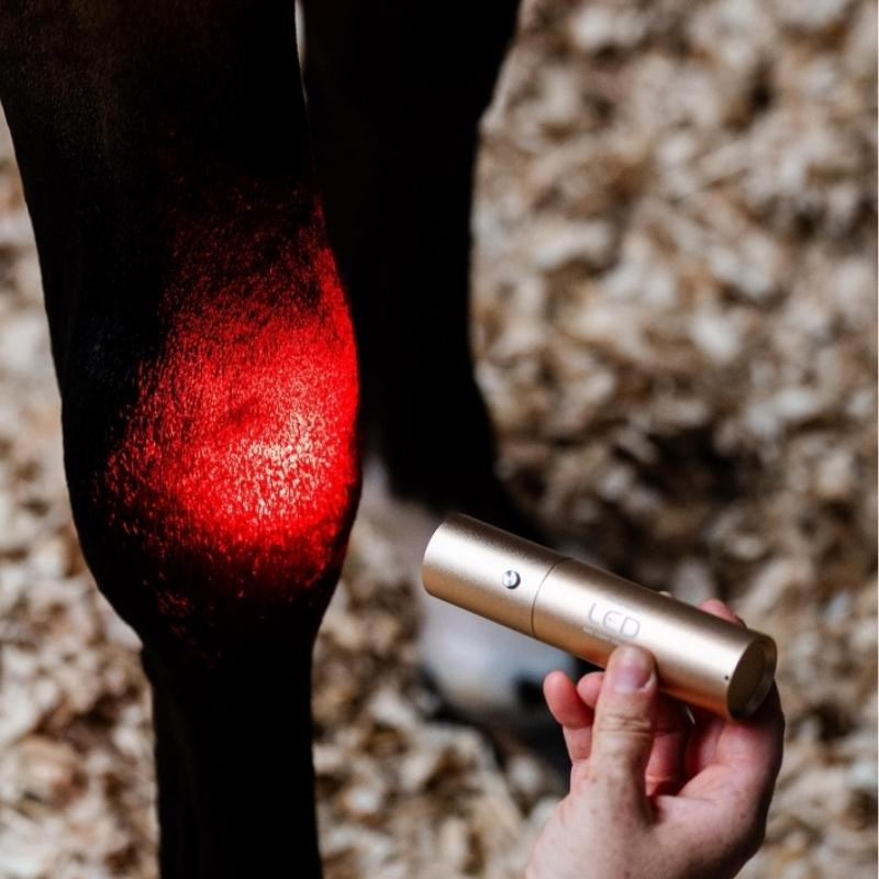 Terapilampe LED Red Light Therapy Wand