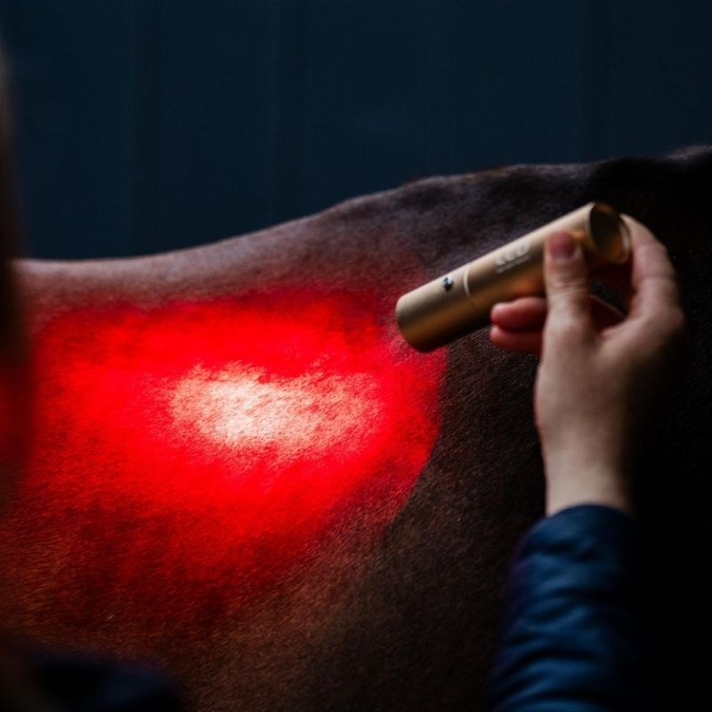 Terapilampe LED Red Light Therapy Wand