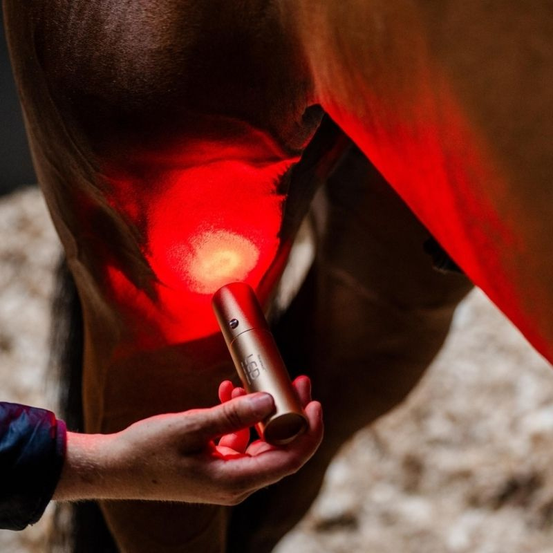 Terapilampe LED Red Light Therapy Wand