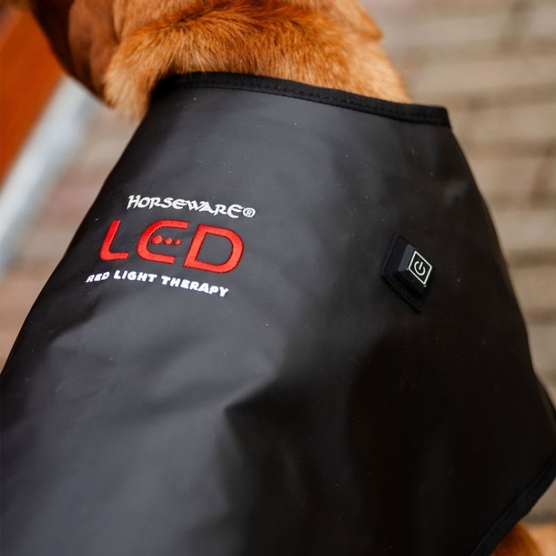 Terapidekken Hund LED Red Light Therapy Svart 