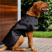 Terapidekken Hund LED Red Light Therapy Svart Terapidekken Hund LED Red Light Therapy Svart