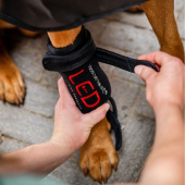 Terapibandasje Hund LED Red Light Therapy Svart Terapibandasje Hund LED Red Light Therapy Svart