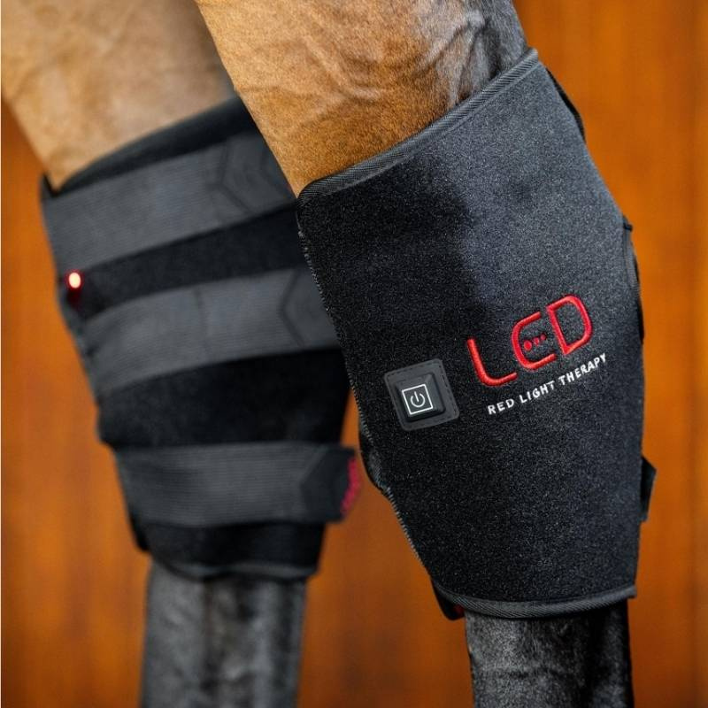 Terapibelegg Hase LED Red Light Therapy Svart