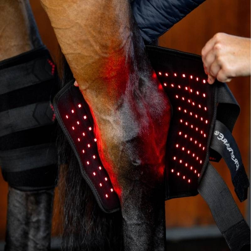 Terapibelegg Hase LED Red Light Therapy Svart