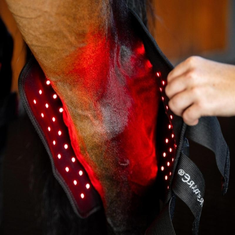 Terapibelegg Hase LED Red Light Therapy Svart