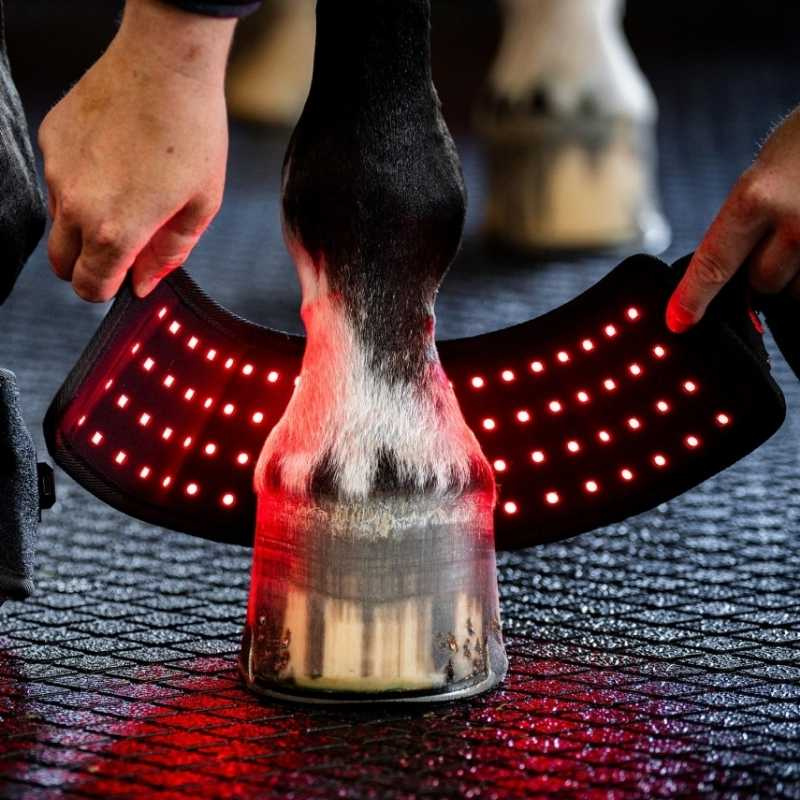 Hovboot LED Red Light Therapy Svart