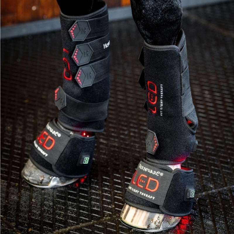 Hovboot LED Red Light Therapy Svart